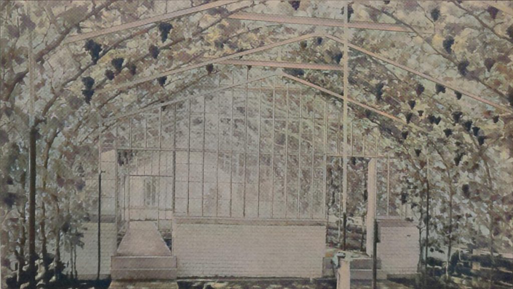 2. Weinhaus der Kaiserin Friedrich in Cronberg im Taunus