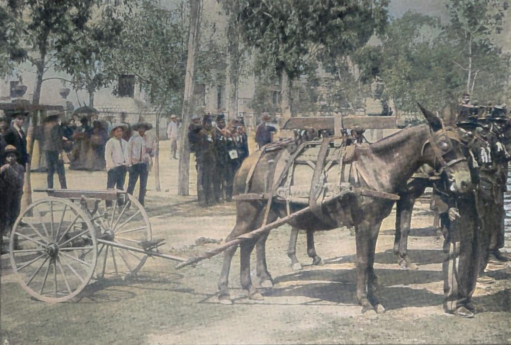 Mexikanische Artillerie