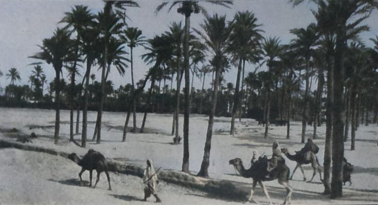 Aus Tripolis, dem italienisch-türkischem Kampfobjekt