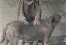 Dakotababy mit Hund