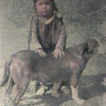 Dakotababy mit Hund