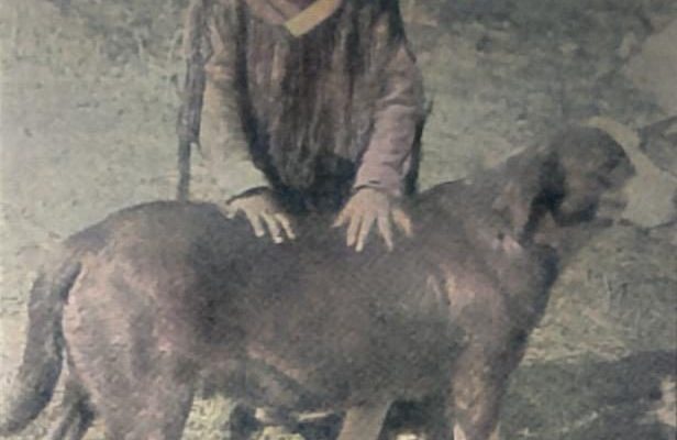 Dakotababy mit Hund